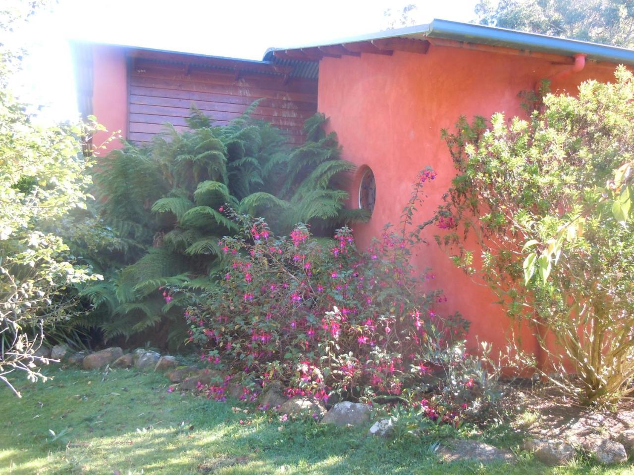 Whispering Spirit Holiday Cottages & Mini Ponies Franklin Exterior foto